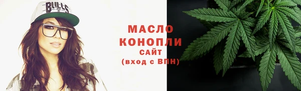 индика Богородицк